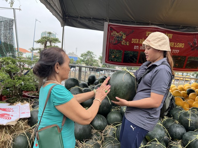 Hơn nửa triệu đồng một quả bưởi siêu to, khổng lồ ở TPHCM - Ảnh 6.