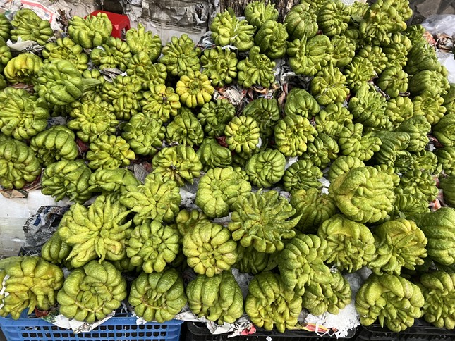 Hơn nửa triệu đồng một quả bưởi siêu to, khổng lồ ở TPHCM - Ảnh 5.