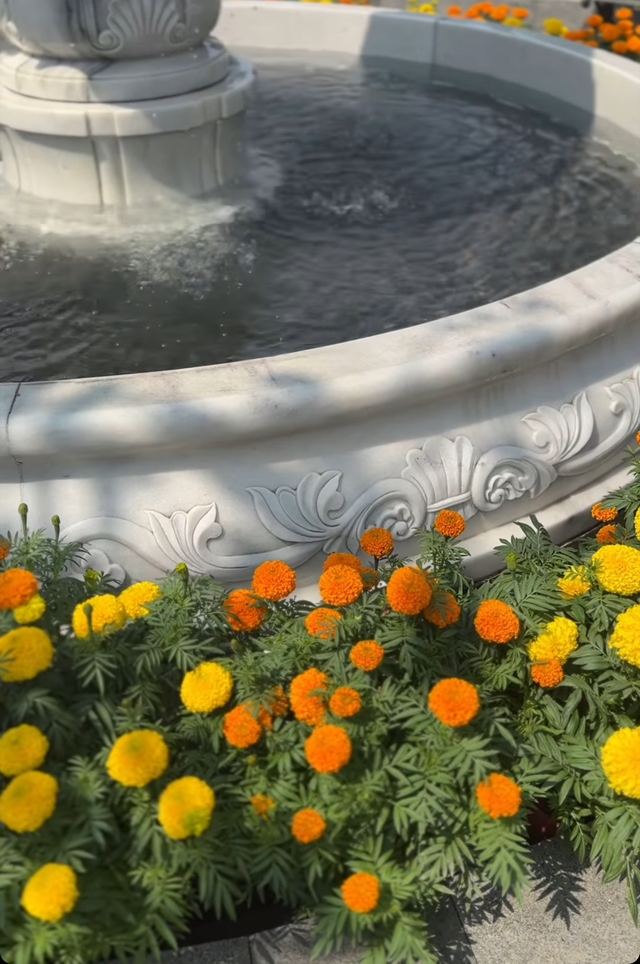 Cung điện dát vàng của vợ chồng Lan Khuê ngày Tết: Không gian ngập tràn hoa, trang trí đài phun nước bắt mắt - Ảnh 5.
