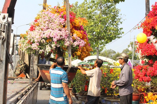 Một năm khó khăn, thương lái ở Bình Dương lo hoa ế đến đêm 30 Tết - Ảnh 1.