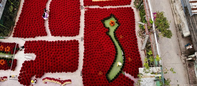 H&igrave;nh ảnh l&agrave;ng hương Việt Nam tr&ecirc;n b&aacute;o nước ngo&agrave;i - Ảnh 8.