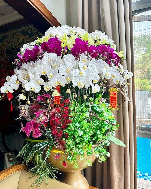 Bảo Thy flex nhẹ 6 chậu hoa Tết trong biệt thự ở quận 7, netizen nức nở khen: Đúng là người giàu chơi Tết - Ảnh 6.