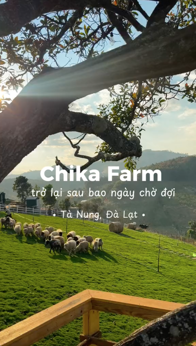 Chika Farm Đà Lạt bất ngờ thông báo trở lại đúng mùng 2 Tết, thêm nhiều cảnh check-in đẹp mê mẩn - Ảnh 1.