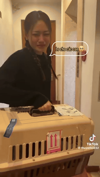 Sao nữ Vbiz bật khóc lo lắng khi vận chuyển thú cưng, tất cả vì lý do này? - Ảnh 4. Sao nữ Vbiz bật khóc lo lắng khi vận chuyển thú cưng, tất cả vì lý do này? - Ảnh 4.