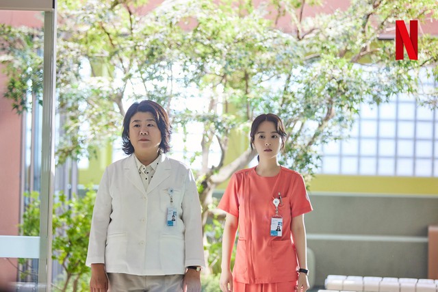 5 phim Hàn chữa lành cho năm mới tích cực: Park Shin Hye - Park Bo Young khiến khán giả mê mệt - Ảnh 2.
