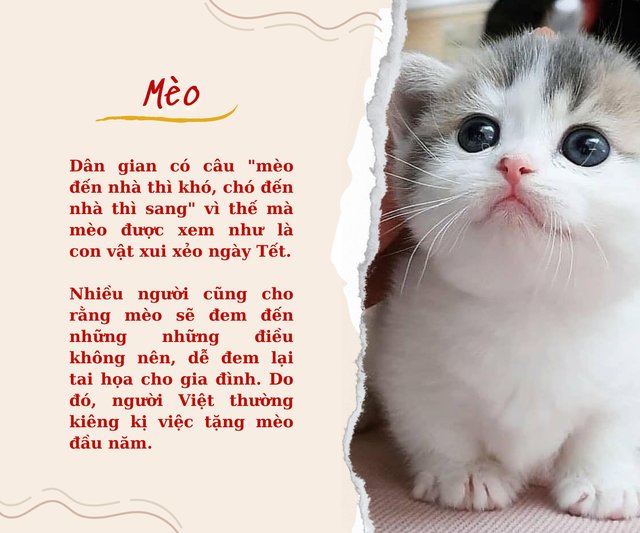 “Mở ví” đầu năm mới: Có 6 món nên mua để may mắn, 4 món nhất định phải tránh xa kẻo vận xui đeo bám - Ảnh 10.