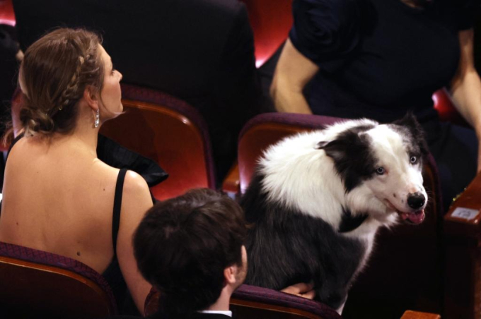 View - Ngôi sao bị cấm đến Oscar 2024 bất ngờ xuất hiện, có khoảnh khắc "giật spotlight" dàn sao hạng A
