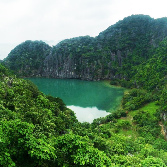 Bên trong hòn đảo đẹp lạ ở miền Bắc: Rừng Giá bao quanh mắt rồng, chứa đầy chất độc - Ảnh 6.