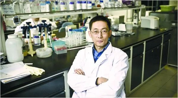 Tiến sĩ giỏi nhất Trung Quốc kiêm giáo sư trẻ nhất ĐH Princeton với quyết định gây tranh cãi khi ở đỉnh cao sự nghiệp giờ ra sao? - Ảnh 1.