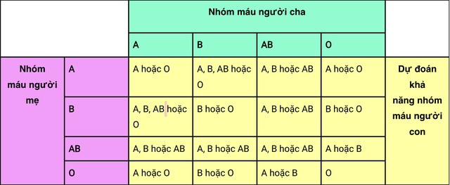 Thấy con có nhóm máu khác mình, người đàn ông một mực nghĩ vợ ngoại tình: 7 năm sau sự thật được hé lộ - Ảnh 2.