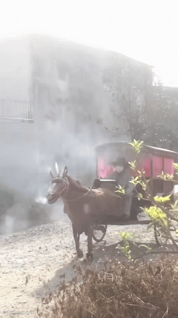 Ch&uacute; ngựa n&oacute;ng nhất c&otilde;i mạng: Kh&ocirc;ng nhanh nhưng khiến ai cũng phải ngo&aacute;i nh&igrave;n, ph&igrave; kh&oacute;i như trong phim ti&ecirc;n hiệp - Ảnh 1.