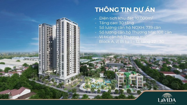 Xôn xao nhà xã hội ở Bình Dương bán với giá nhà thương mại - Ảnh 1.