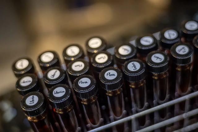 Ph&oacute;ng vi&ecirc;n b&aacute;o New York Times gọi Việt Nam l&agrave; g&atilde; khổng lồ c&agrave; ph&ecirc; ở Đ&ocirc;ng Nam &Aacute;, quyết t&acirc;m rong ruổi khắp TP.HCM t&igrave;m ra 7 qu&aacute;n c&oacute; hương vị tuyệt vời nhất - Ảnh 6.