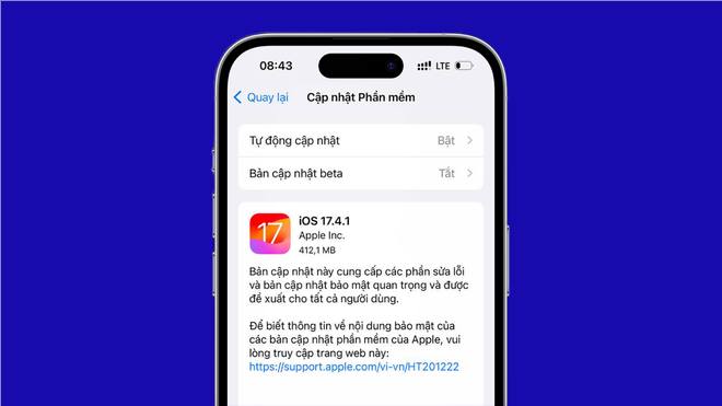 iOS 17.4.1 đã cho tải về: Là bản cập nhật bảo mật quan trọng, người dùng nên cài đặt ngay! - Ảnh 1.