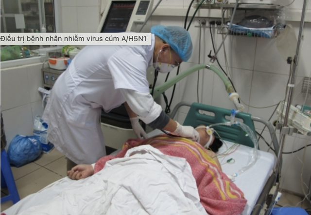 Gần 50% ca nhiễm cúm A/H5N1 tử vong, Bộ Y tế lưu ý 5 điểm này - Ảnh 1.
