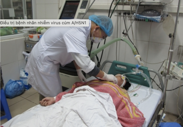 Gần 50% ca nhiễm cúm A/H5N1 tử vong, Bộ…