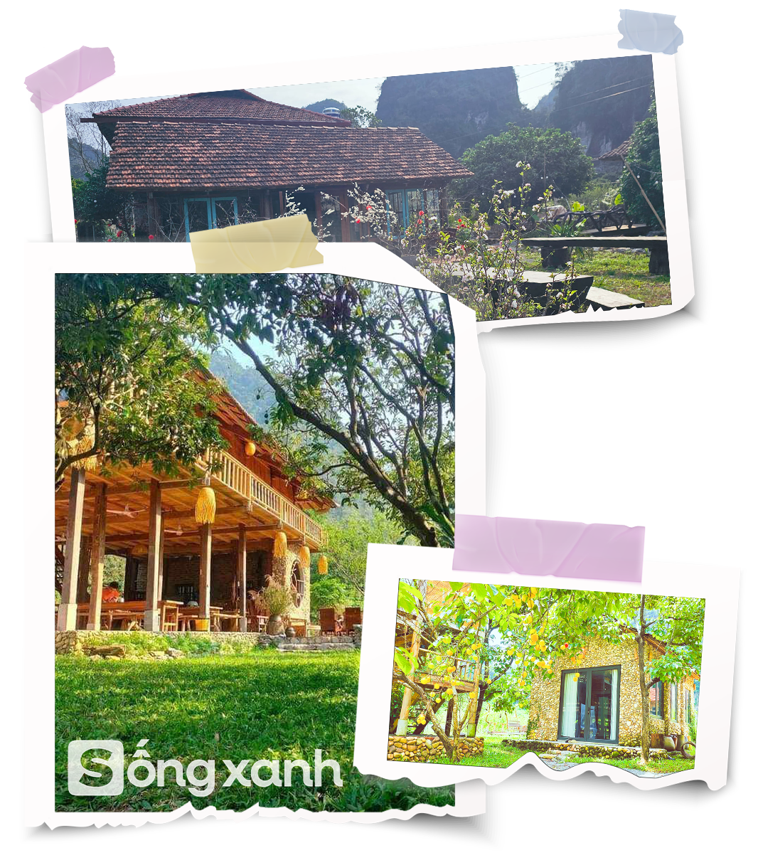 Người phụ nữ bê đá xây nhà giữa thung lũng, sống thuận tự nhiên, thu 2 tấn hồng/năm nhưng không bán - Ảnh 2.