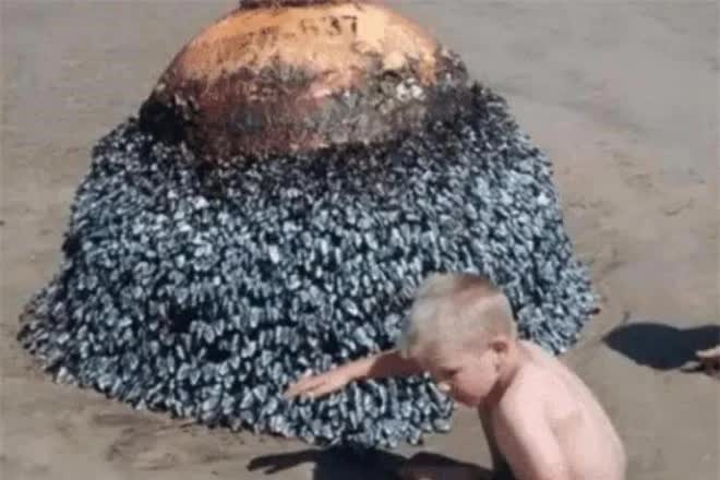 Cậu bé vô tình tìm thấy hòn đá kỳ lạ trên bãi biển, chuyên gia giật mình: Gia đình cậu đã đối mặt với tử thần! - Ảnh 1.