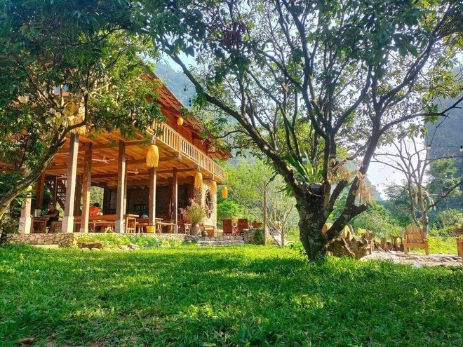 Người phụ nữ bê đá xây nhà giữa thung lũng, sống thuận tự nhiên, thu 2 tấn hồng/năm nhưng không bán - Ảnh 8.