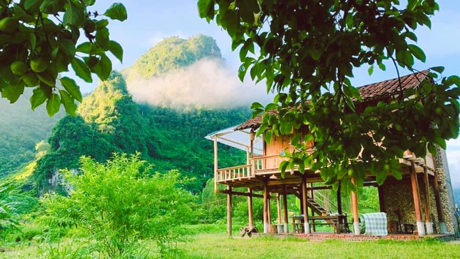 Người phụ nữ bê đá xây nhà giữa thung lũng, sống thuận tự nhiên, thu 2 tấn hồng/năm nhưng không bán - Ảnh 7.
