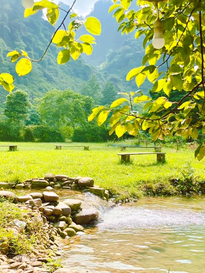 Người phụ nữ bê đá xây nhà giữa thung lũng, sống thuận tự nhiên, thu 2 tấn hồng/năm nhưng không bán - Ảnh 6.
