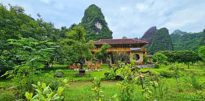 Người phụ nữ bê đá xây nhà giữa thung lũng, sống thuận tự nhiên, thu 2 tấn hồng/năm nhưng không bán - Ảnh 4.