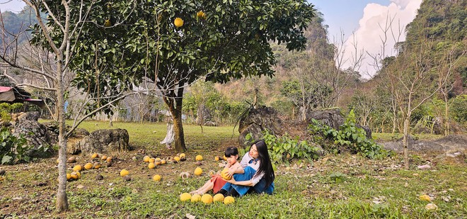 Người phụ nữ bê đá xây nhà giữa thung lũng, sống thuận tự nhiên, thu 2 tấn hồng/năm nhưng không bán - Ảnh 3.