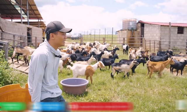 Quang Linh Vlog đau xót vì trang trại mất 70 con dê, hàng chục tỷ đầu tư có nguy cơ đổ sông đổ bể - Ảnh 3.