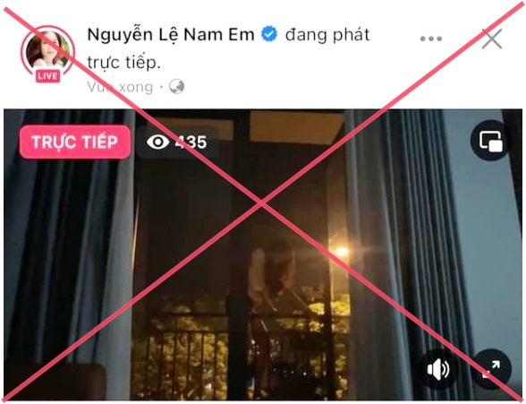 Đại diện Hoa hậu Đồng bằng sông Cửu Long bàn luận việc Nam Em livestream trèo ban công hậu bị tước quyền đồng hành?  - Ảnh 2.