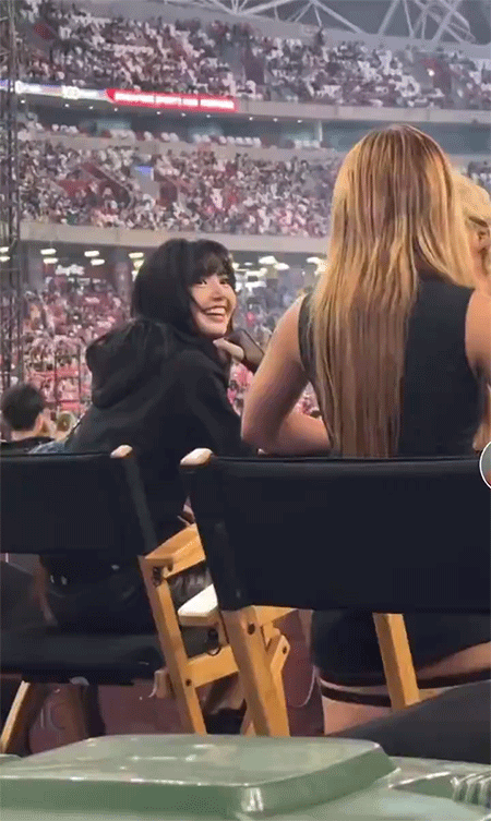 Bão mạng lúc này: Đôi chân tỉ lệ vô thực của Lisa (BLACKPINK) qua cam thường tại concert Taylor Swift - Ảnh 8.