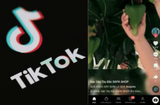 Hết bị “đăng xuất” Facebook, netizen than trời vì TikTok chập chờn - Ảnh 1.