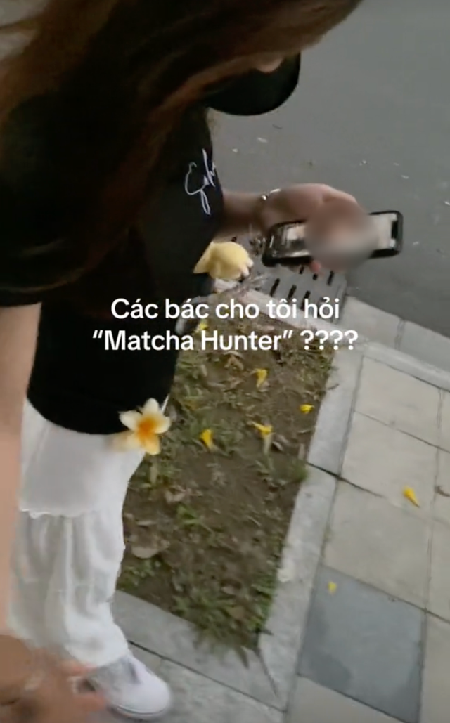 “Matcha hunter” - từ khóa đang xâm chiếm mạng xã hội là gì? - Ảnh 4.