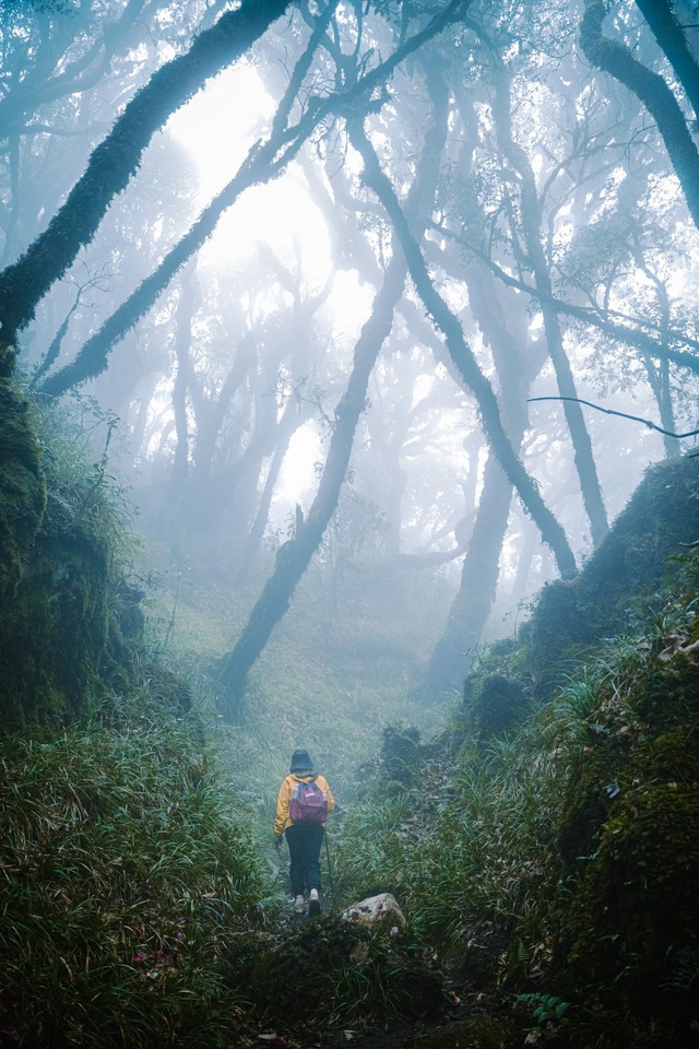 Cô gái kể 48 giờ leo đỉnh núi thuộc Tam giác quỷ ở miền núi phía Bắc: Muốn về phải biết chọn đường đi - Ảnh 6.