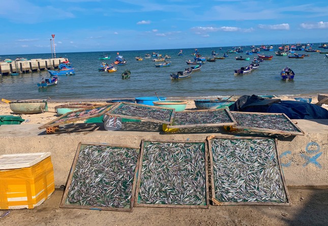 ‘Làng chạy gió’ ven biển có gì mà hút khách du lịch đến vậy? - Ảnh 2.