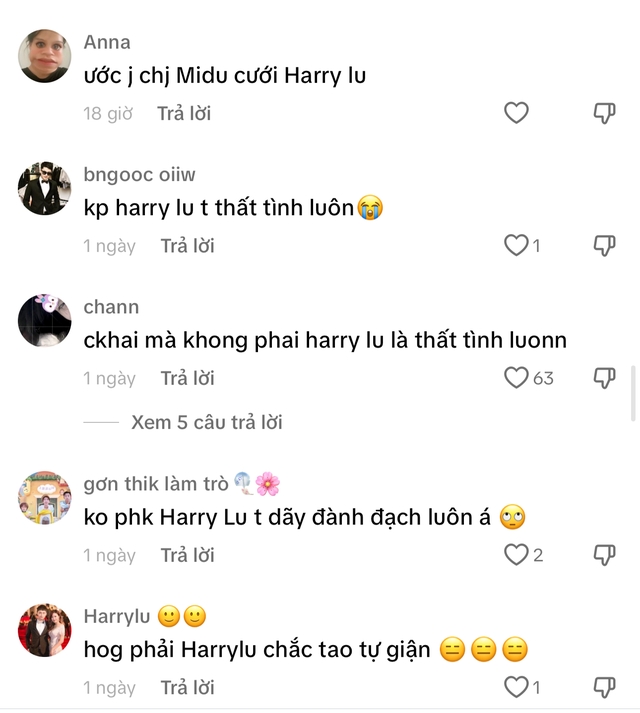 Harry Lu bất ngờ về Việt Nam giữa lúc rộ tin Midu sắp cưới, visual hot boy đình đám một thời hiện tại thế nào? - Ảnh 4.