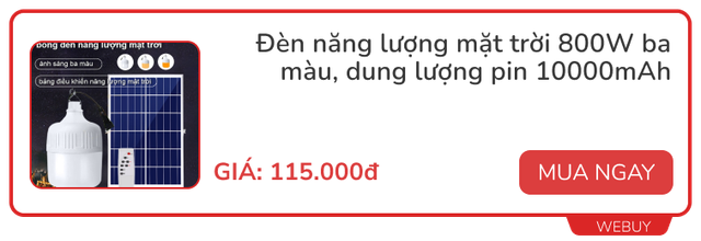 Kh&ocirc;ng tốn đồng n&agrave;o cho EVN nếu nh&agrave; bạn c&oacute; 5 m&oacute;n gia dụng quen thuộc m&agrave; hữu dụng n&agrave;y - Ảnh 9.