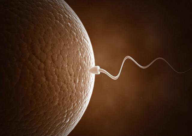 Nam thanh niên 27 tuổi có tỉ lệ tinh trùng bất thường 97% chỉ vì vợ chồng nín thở chờ trứng rụng để thụ thai - Ảnh 4.