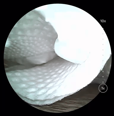 Dùng thử ngoáy tai gắn camera Xiaomi Bebird R1: Rẻ mà ngon, dùng tiện, ngoáy sạch, kèm cả nhạc du dương - Ảnh 6.