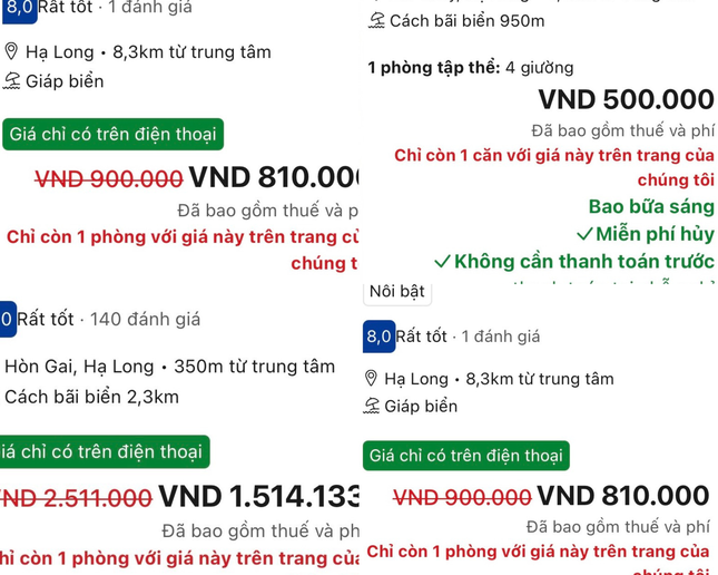 Chưa nghỉ lễ đã cháy tour du thuyền vịnh Hạ Long - Ảnh 3.