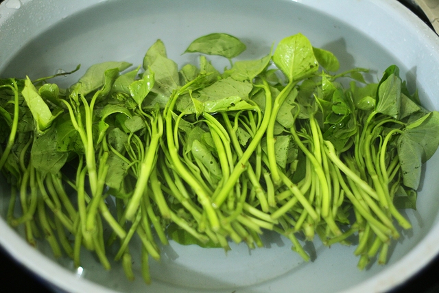 2 loại rau quý được người Nhật ví như thuốc trường thọ và lá hồi sinh: Ở Việt Nam trồng đầy vườn, ăn không lo hết - Ảnh 3.