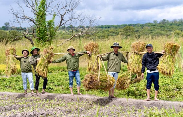 Công nghệ đập lúa made in Vietnam gây kinh ngạc ở Angola, chủ trang trại Việt ra quyết định mạo hiểm - Ảnh 5.
