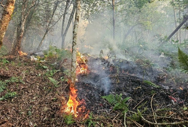 Hai cán bộ kiểm lâm Hà Giang tử vong khi chữa cháy rừng - Ảnh 2.