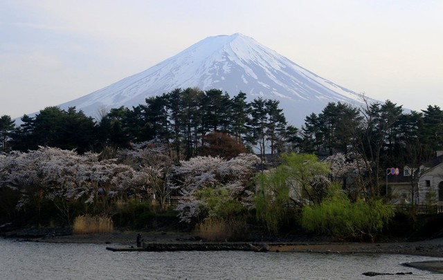 Thị trấn Nhật quyết dựng rào chặn view ngắm núi Phú Sĩ vì không chịu nổi làn sóng du khách đổ đến check-in - Ảnh 2.