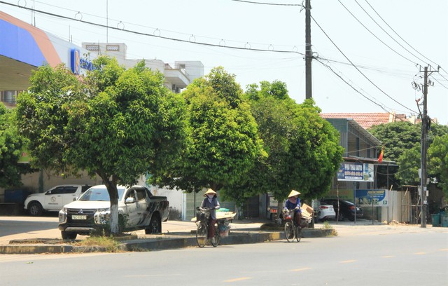Người dân khốn khổ dưới cái nắng kỷ lục 44 độ C ở Quảng Trị - Ảnh 5.