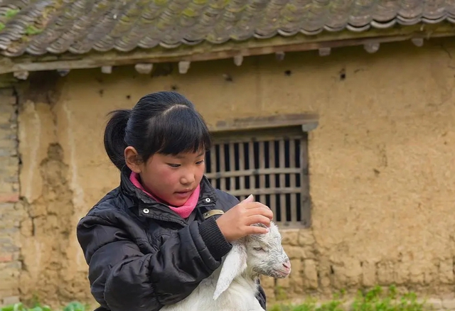 2 năm nấu bữa trưa cho bạn cùng lớp của con trai, 12 năm sau tôi được trả ơn: Quà cáp, tiền bạc đầy nhà, quý hơn cả là có thêm con gái - Ảnh 1.