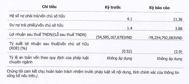 Chuỗi bán nệm lớn nhất cả nước báo lỗ gần 80 tỉ đồng - Ảnh 1.