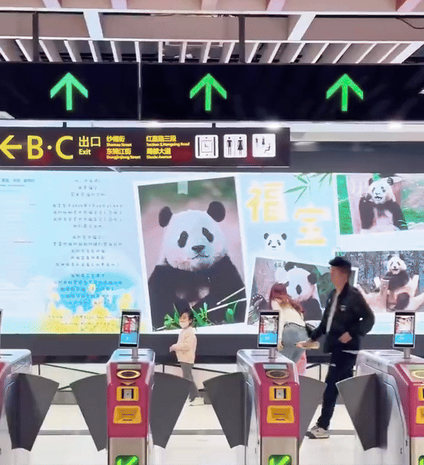 Đỉnh lưu Fubao lần đầu lộ diện tại Trung Quốc: Poster treo khắp lối không kém minh tinh, hành động sau khi hạ cánh khiến nhiều fan nức nở - Ảnh 4.