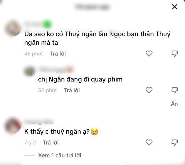 Lan Ngọc đón tuổi mới sang chảnh trên du thuyền, 1 nhân vật thân thiết bị soi vắng mặt? - Ảnh 9.