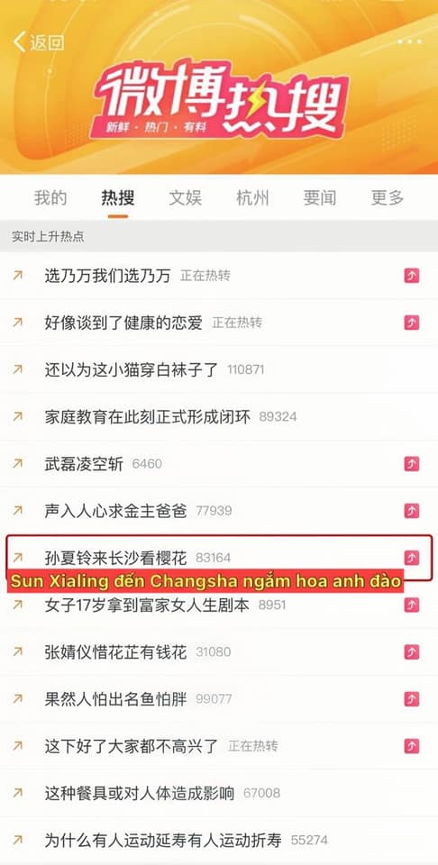 Sao nữ Vbiz bất ngờ lọt top hot search tại Trung Quốc, nguyên nhân mới gây bất ngờ - Ảnh 2.