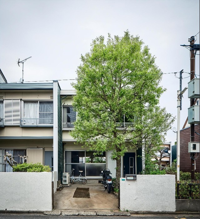 Căn nhà của vợ chồng kiến trúc sư 8x Nhật Bản: Tối giản nhưng đầy tinh tế, nội thất làm bằng 100% gỗ tự nhiên - Ảnh 2.